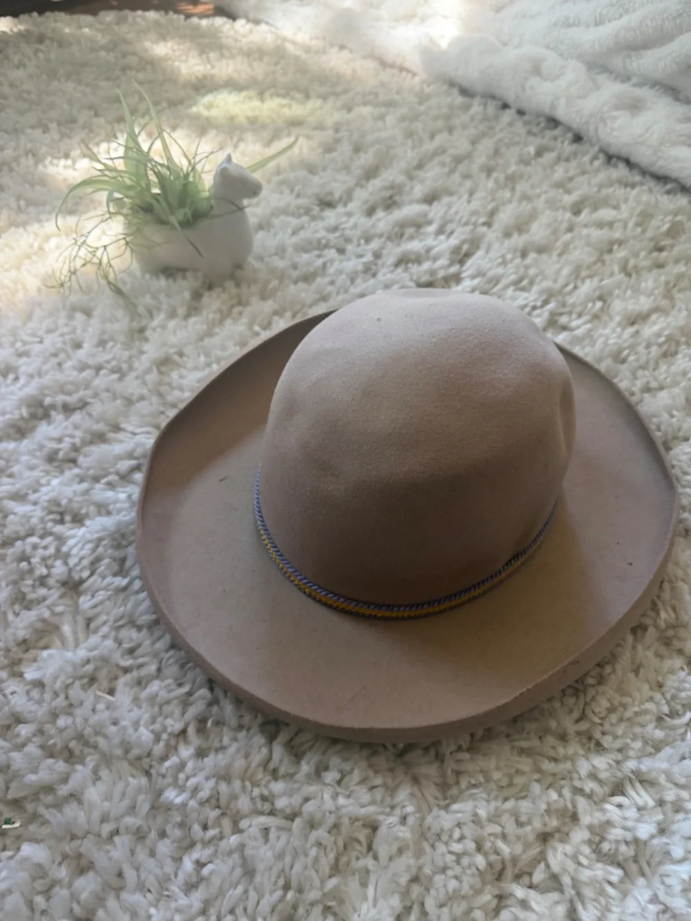 Soft Neutral Buffalo days Regina Tan Felt Ranch Hat with Decorative Cord 7 3/4 t
